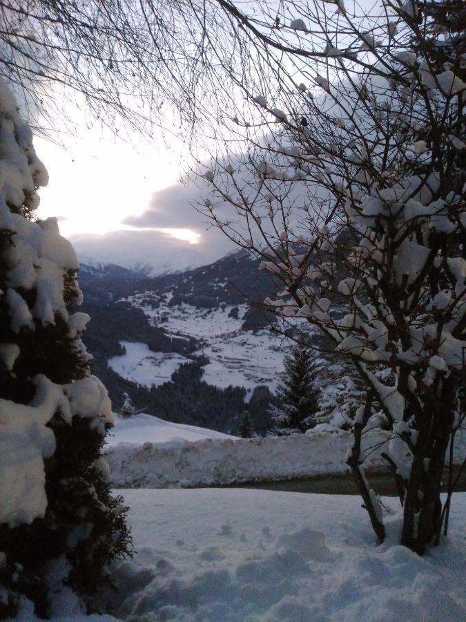 Haus Edelweiss Bed and Breakfast Jerzens Exteriör bild